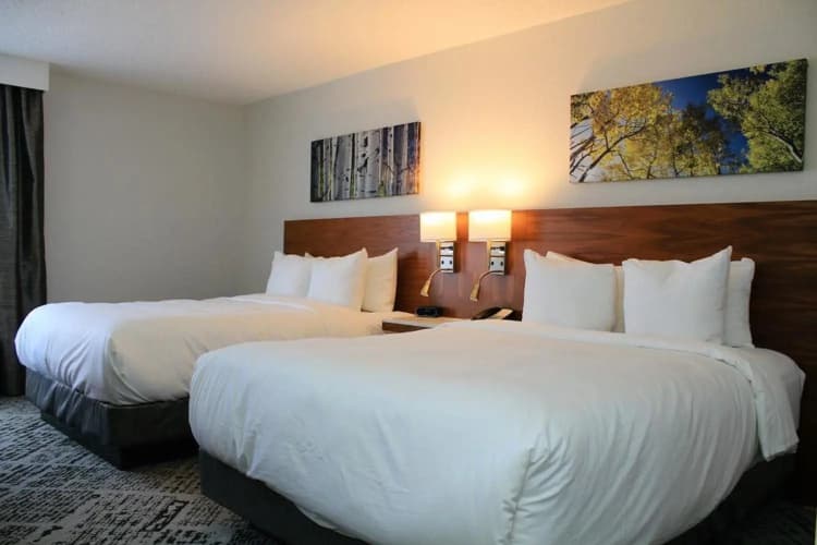 Radisson Denver Central photo 5