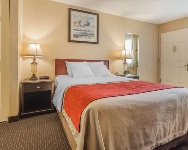 Quality Inn & Suites photo 5
