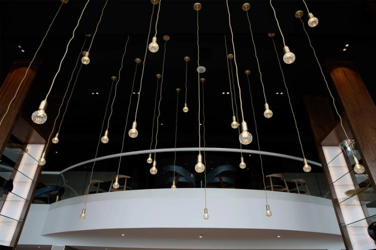 Hyatt Regency Orlando International Airport photo 3