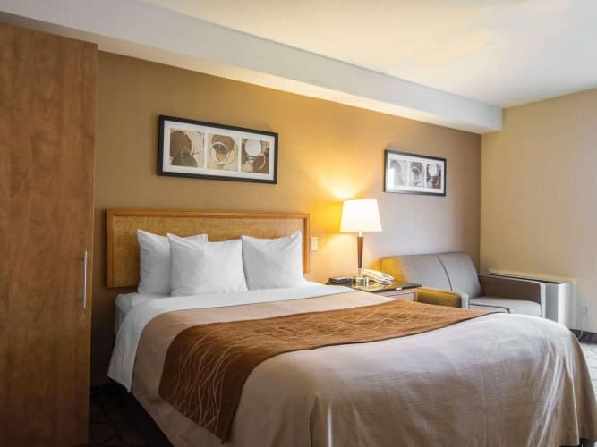 Comfort Inn Airport East photo 4