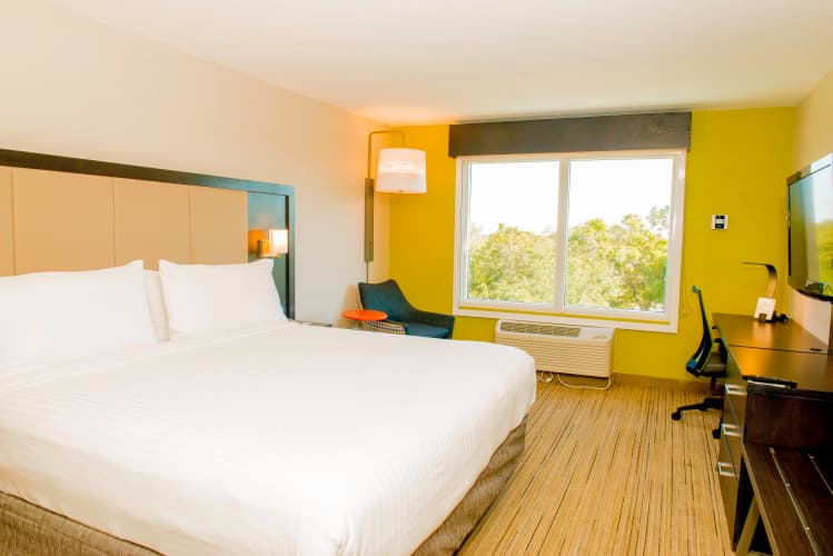 Holiday Inn Express & Suites St. Petersburg North (I-275) photo 4