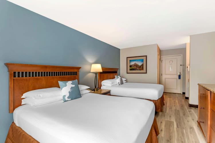 Best Western Denver Southwest photo 4