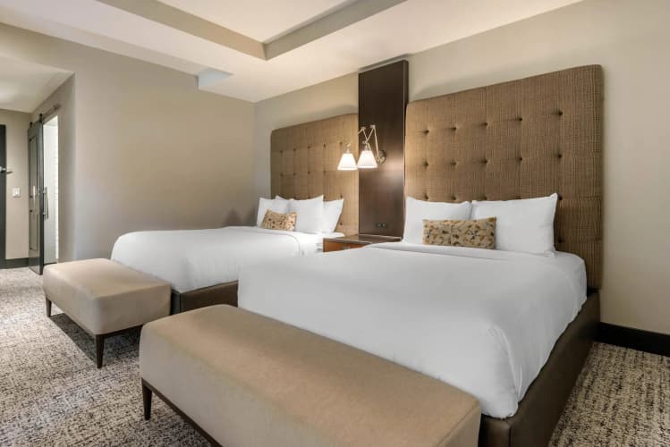 Cambria Hotel Houston Downtown Convention Center photo 5