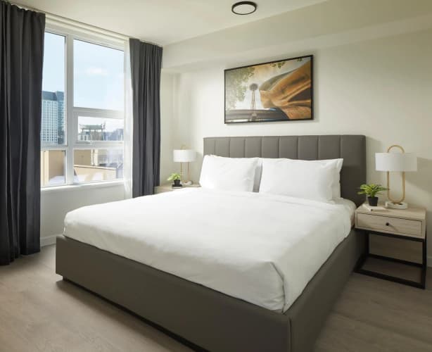 Level South Lake Union photo 4