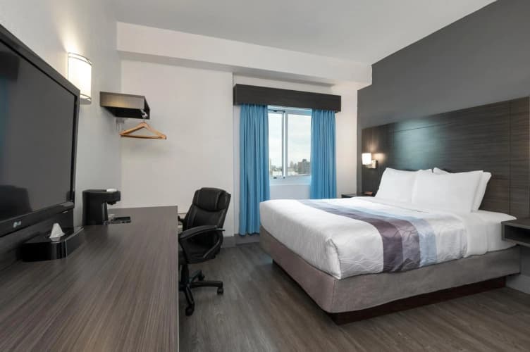 Comfort Hotel photo 5