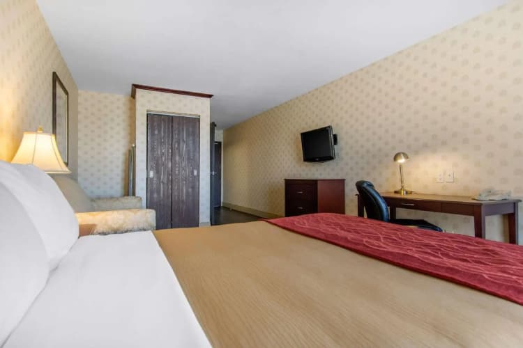 Comfort Inn & Suites photo 4