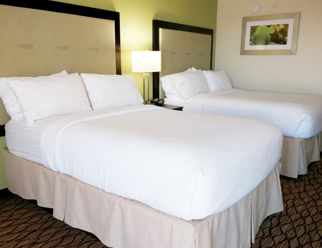 Holiday Inn Corpus Christi Downtown Marina photo 4