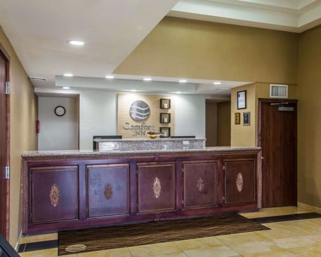 Comfort Inn Airport, photo 3