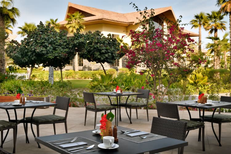 Lapita, Dubai Parks And Resorts, Autograph Collection, photo 5