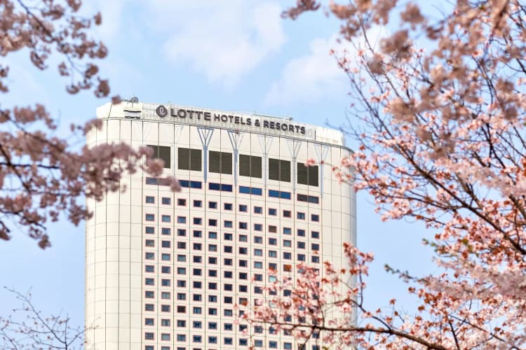 Lotte Hotel World photo 2