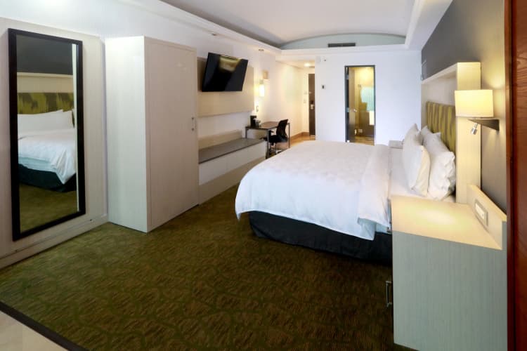 Holiday Inn Zona Diamante photo 5