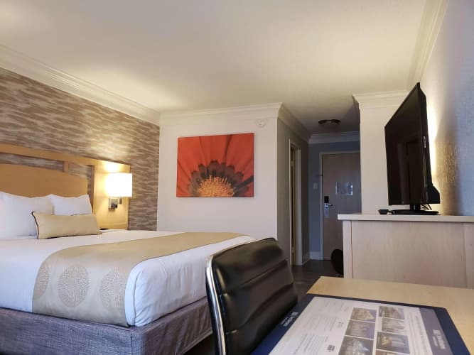 Best Western Plus University Inn photo 4