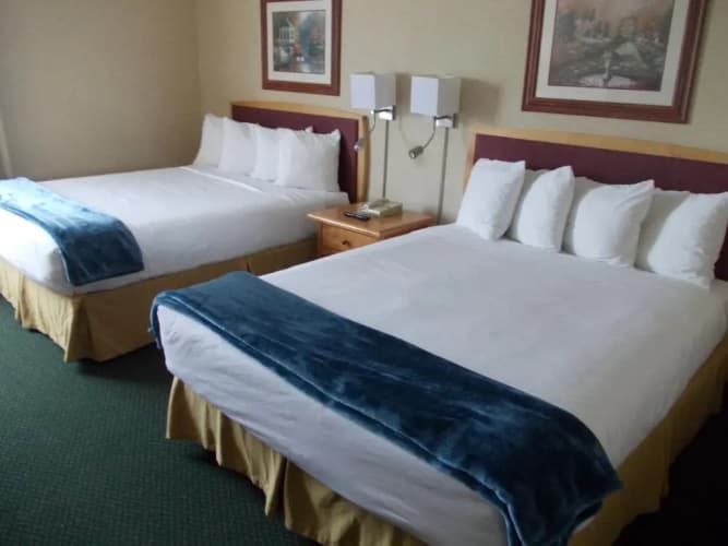 Rocky Inn Express, photo 5