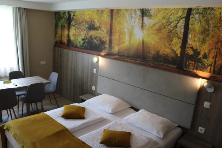 Hotel Alpina photo 3