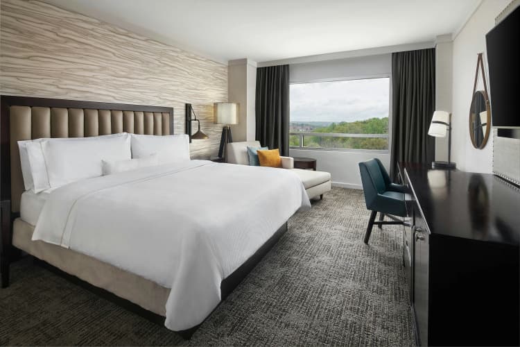 The Westin Baltimore Washington Airport - Bwi photo 5