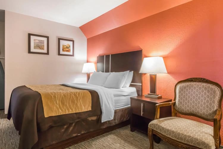 Comfort Inn & Suites photo 5