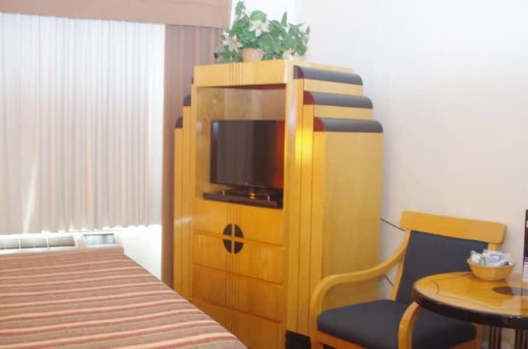 Metropolitan Inn photo 5