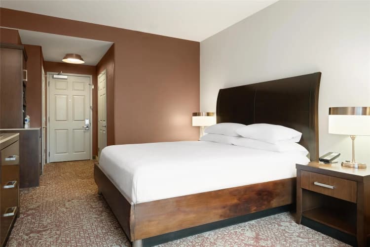 Hilton Garden Inn Chicago Downtown/Magnificent Mile photo 5