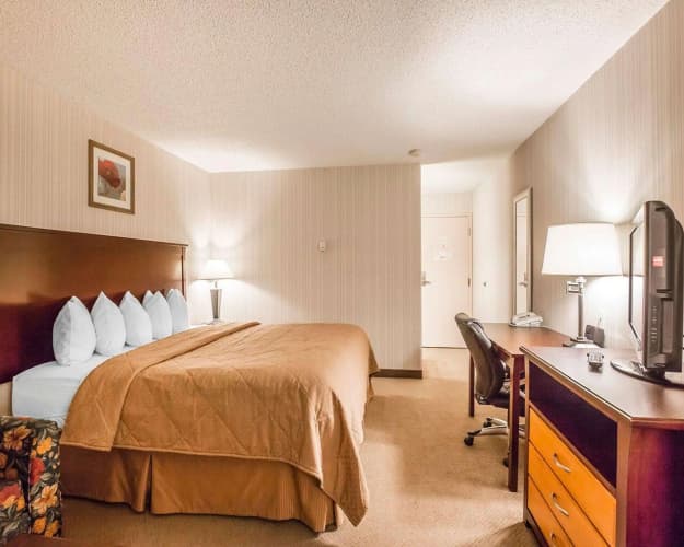Quality Inn & Conference Centre North Hill, photo 5