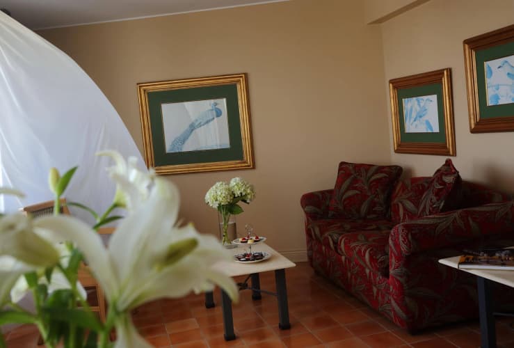 Suites Del Bosque photo 4