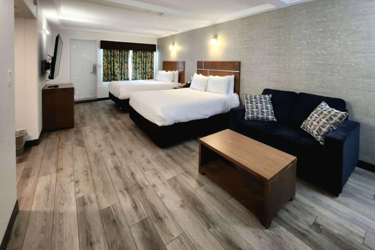 Quality Inn Suites Clearwater photo 5