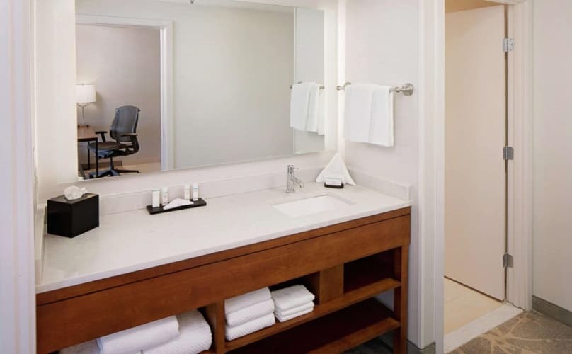 Embassy Suites by Hilton Boston Marlborough, photo 4