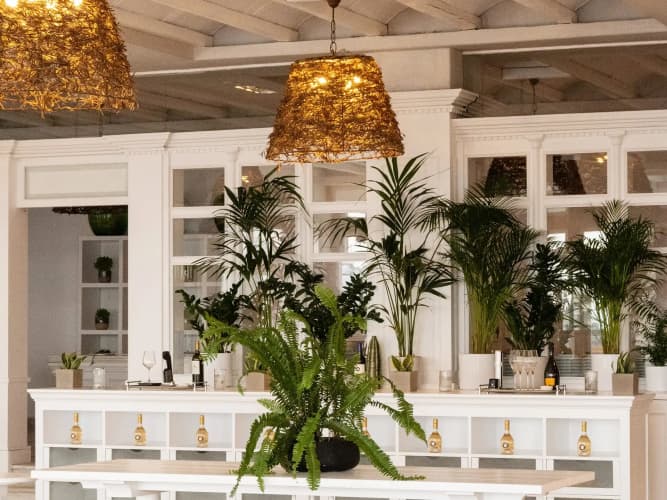 Mykonos Blu, A Grecotel Resort To Live photo 2