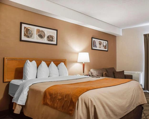 Comfort Inn photo 4