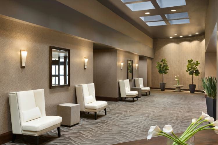 Hilton Greenville photo 3