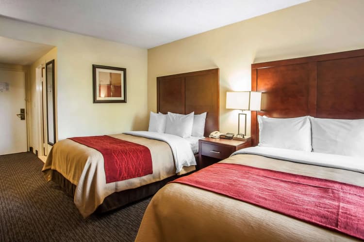 Comfort Inn photo 5