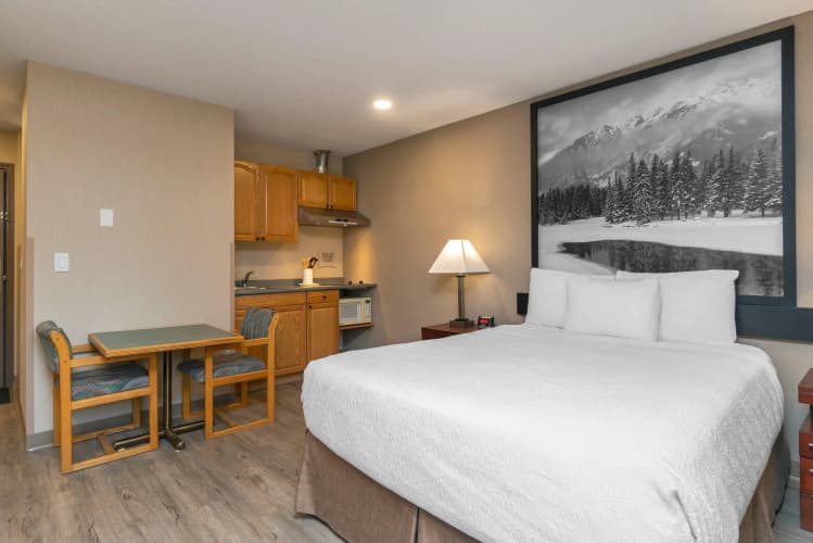 Quality Inn & Suites photo 5
