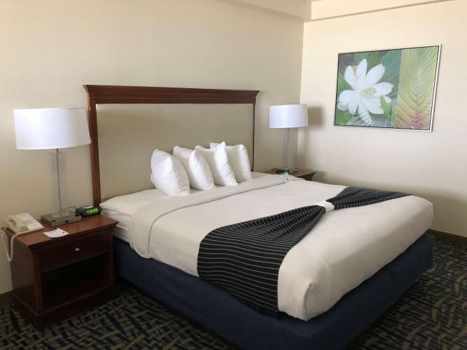 Best Western Cocoa Beach Hotel & Suites, photo 4