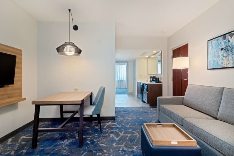 Embassy Suites by Hilton Tampa USF Near Busch Gardens photo 4