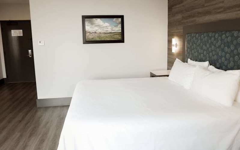 The Oread Lawrence, Tapestry Collection By Hilton photo 4