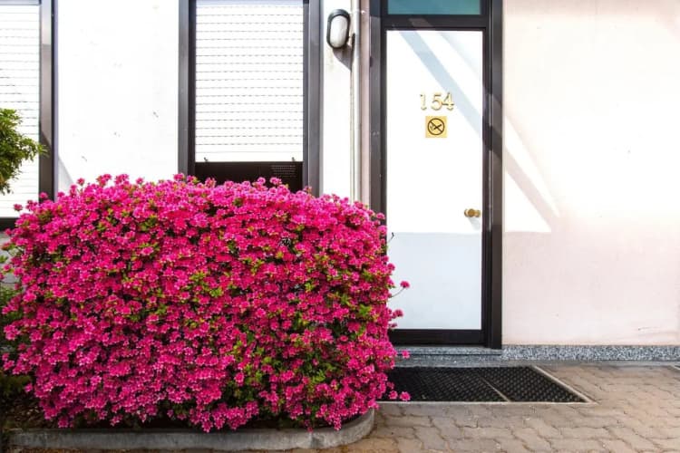Airport Motel Malpensa photo 2