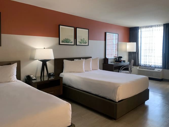 Plaza Hotel & Casino photo 5