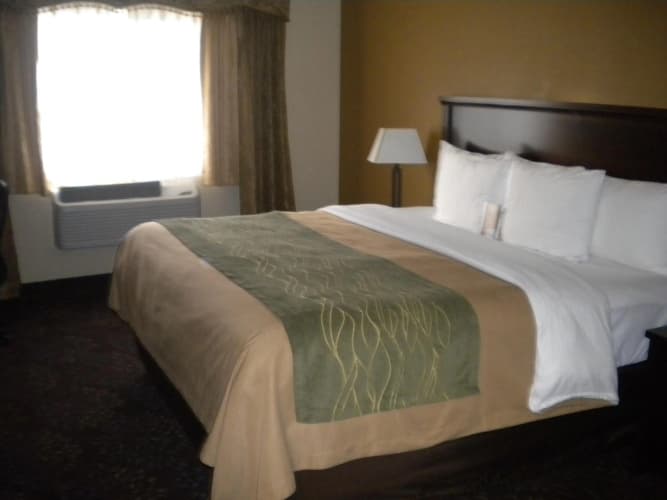 Comfort Inn Federal Way - Seattle photo 5