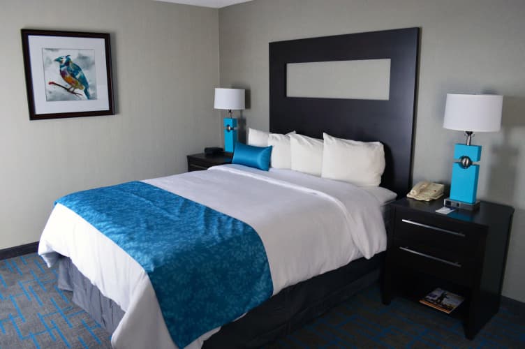 Holiday Inn & Suites Syracuse Airport - Liverpool photo 4