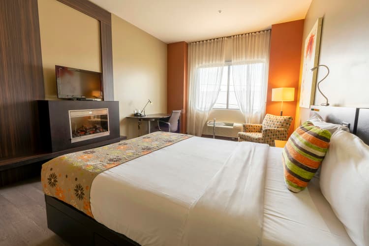 Must Hotel photo 5