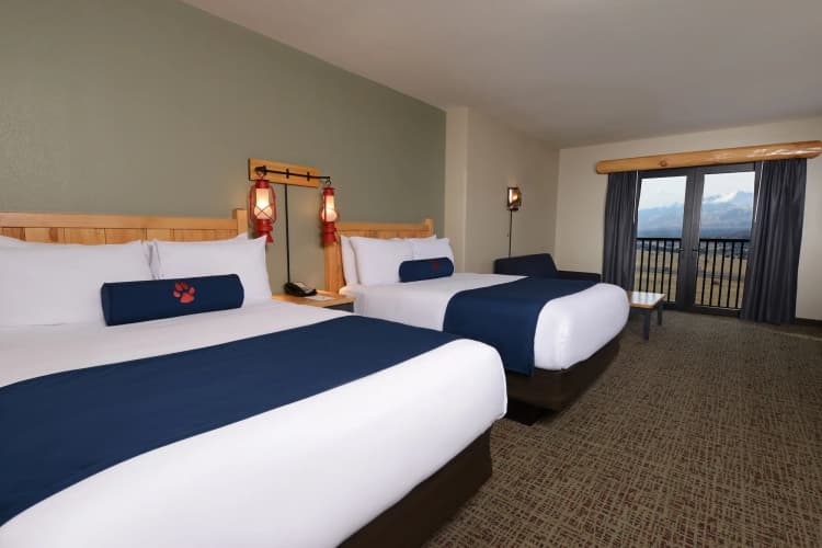 Great Wolf Lodge Colorado Springs photo 4