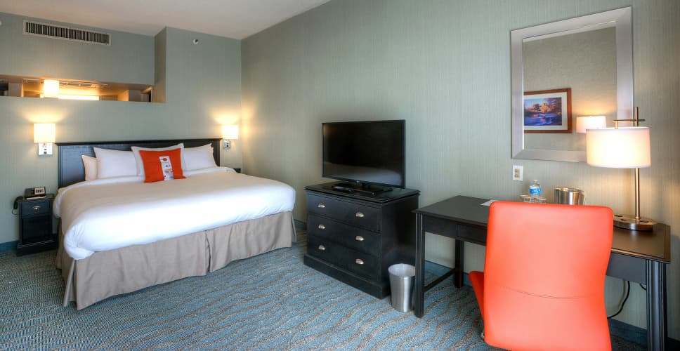 DoubleTree by Hilton Phoenix North photo 4