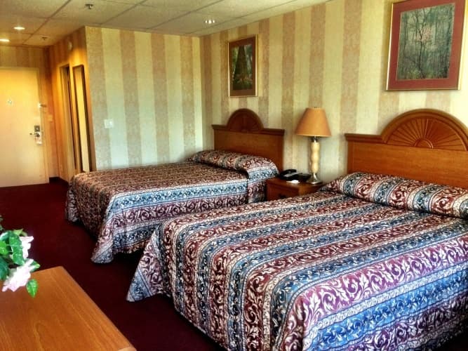 Amsterdam Hotel, photo 5