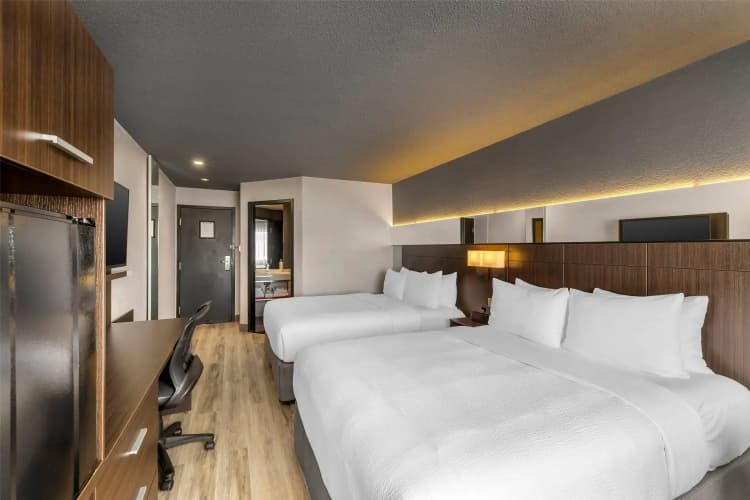 Hotel Quartier An Ascend Hotel Collection photo 5