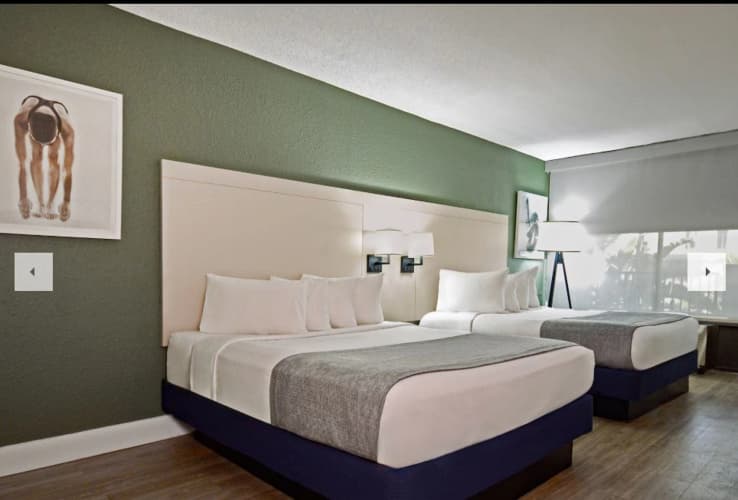 Wyndham I-Drive Avanti Resort & Conference Center photo 4