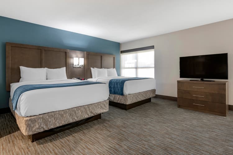 Comfort Inn & Suites Downtown Brickell-Port of Miami photo 3