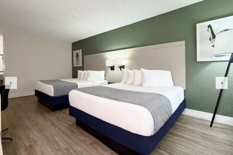 Wyndham I-Drive Avanti Resort & Conference Center photo 5