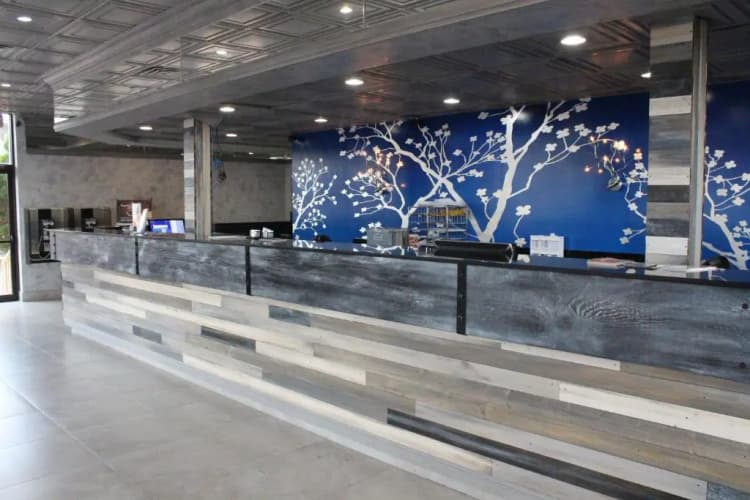 Celebration Suites, photo 3