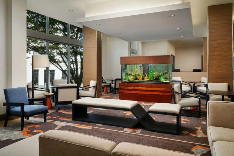 Hyatt House Atlanta Downtown, photo 3