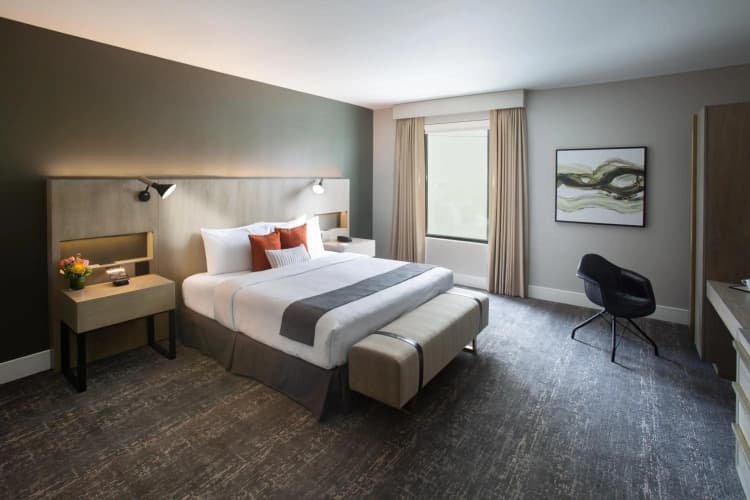 The Delaney Hotel photo 5