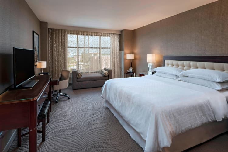Sheraton Austin Georgetown Texas Hotel & Conference Center photo 5